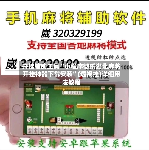开挂辅助工具“小程序微乐湖北麻将开挂神器下载安装”(透视挂)详细用法教程-第2张图片