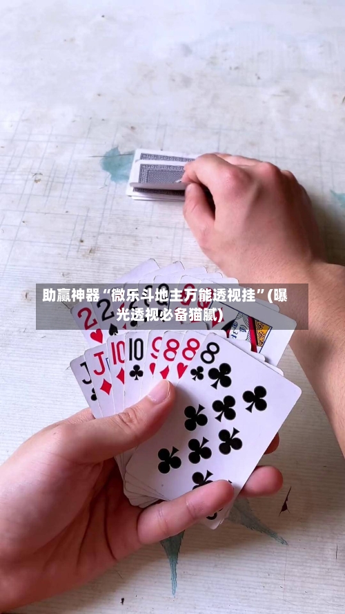 助赢神器“微乐斗地主万能透视挂”(曝光透视必备猫腻)-第2张图片