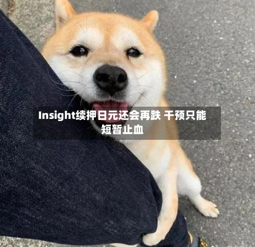 Insight续押日元还会再跌 干预只能短暂止血-第1张图片