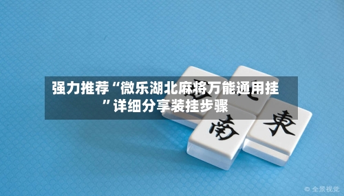强力推荐“微乐湖北麻将万能通用挂	”详细分享装挂步骤-第2张图片