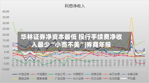 华林证券净资本最低 投行手续费净收入最少“小而不美	”|券商年报-第1张图片