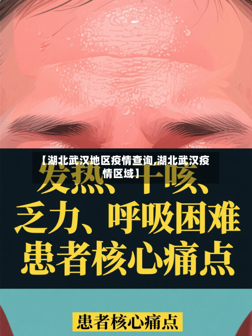 【湖北武汉地区疫情查询,湖北武汉疫情区域】-第1张图片