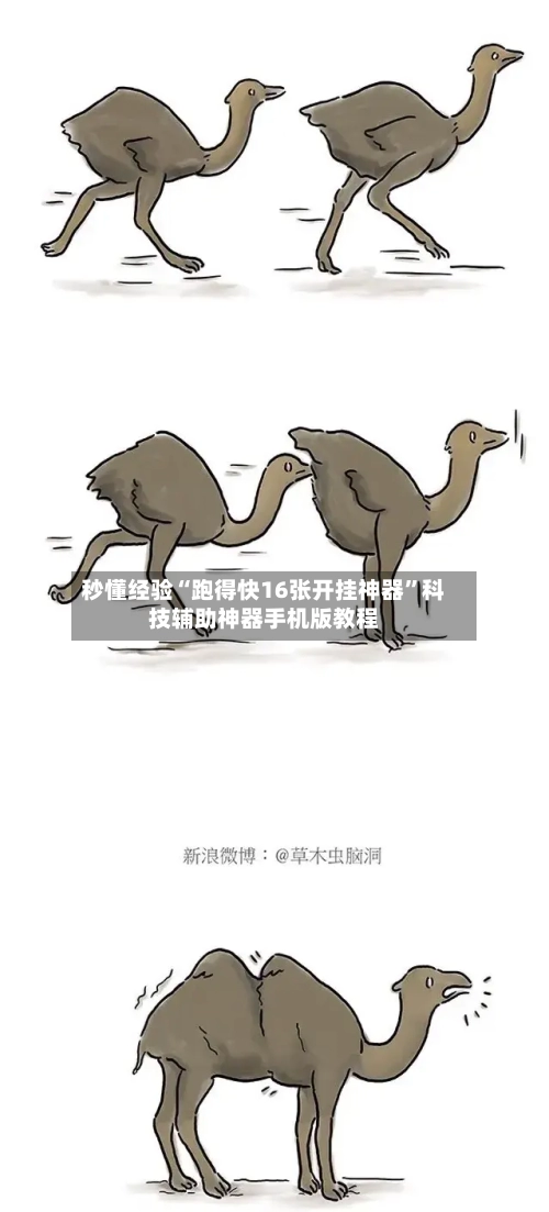 秒懂经验“跑得快16张开挂神器	”科技辅助神器手机版教程-第1张图片