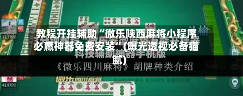 教程开挂辅助“微乐陕西麻将小程序必赢神器免费安装	”(曝光透视必备猫腻)-第1张图片