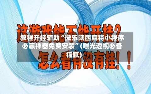 教程开挂辅助“微乐陕西麻将小程序必赢神器免费安装”(曝光透视必备猫腻)-第3张图片