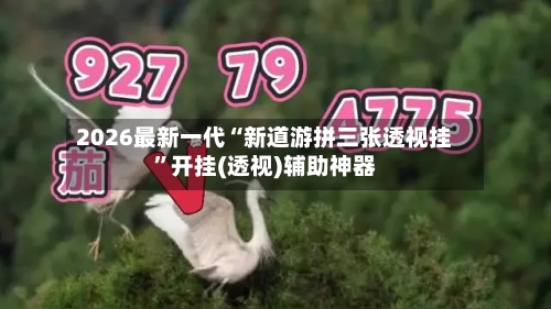 2026最新一代“新道游拼三张透视挂	”开挂(透视)辅助神器-第2张图片