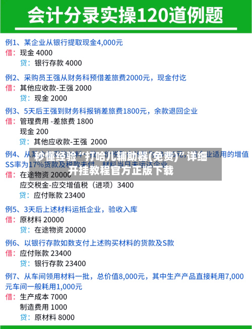 秒懂经验“打哈儿辅助器(免费)”详细开挂教程官方正版下载-第1张图片
