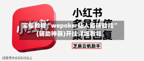 实操教程“wepoker私人局辅助挂	”(辅助神器)开挂详细教程-第2张图片
