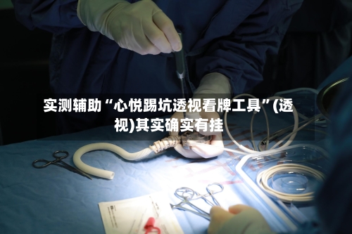 实测辅助“心悦踢坑透视看牌工具”(透视)其实确实有挂-第1张图片