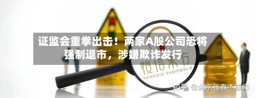 证监会重拳出击！两家A股公司恐将强制退市，涉嫌欺诈发行-第3张图片