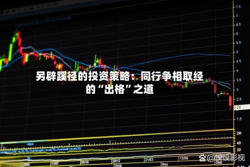 另辟蹊径的投资策略：同行争相取经的“出格”之道-第1张图片