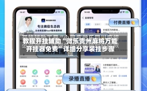 教程开挂辅助“微乐贵州麻将万能开挂器免费”详细分享装挂步骤-第2张图片