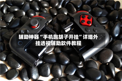 辅助神器“手机跑胡子开挂”详细外挂透视辅助软件教程-第2张图片