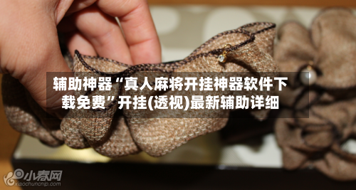 辅助神器“真人麻将开挂神器软件下载免费”开挂(透视)最新辅助详细-第1张图片