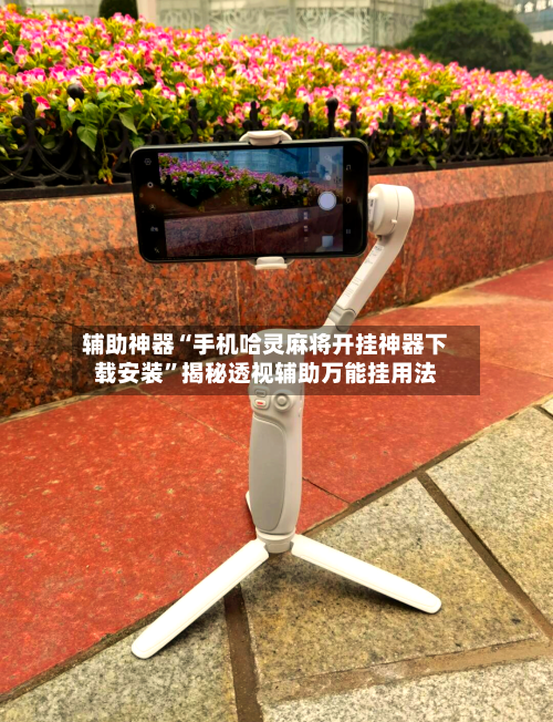 辅助神器“手机哈灵麻将开挂神器下载安装	”揭秘透视辅助万能挂用法-第2张图片
