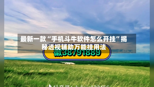 最新一款“手机斗牛软件怎么开挂”揭秘透视辅助万能挂用法-第1张图片