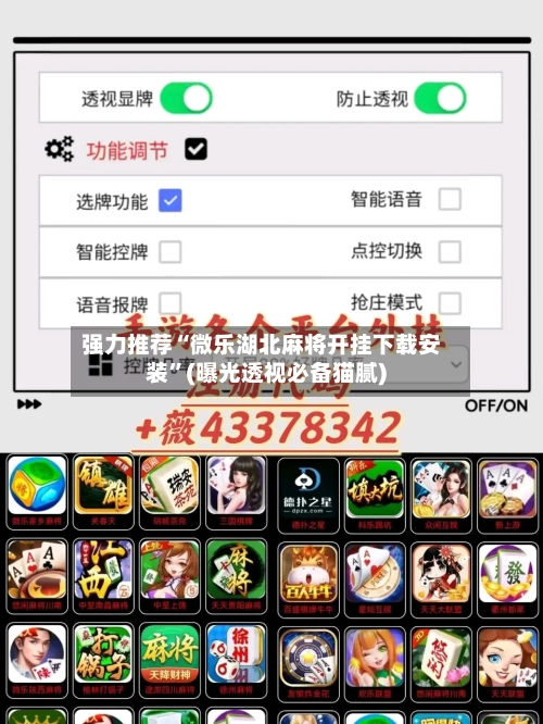 强力推荐“微乐湖北麻将开挂下载安装”(曝光透视必备猫腻)-第1张图片