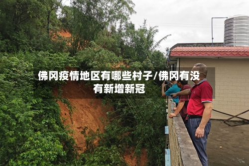 佛冈疫情地区有哪些村子/佛冈有没有新增新冠-第3张图片