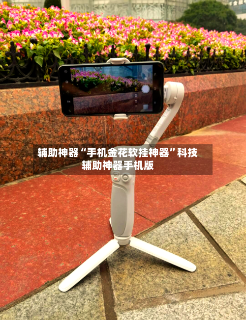 辅助神器“手机金花软挂神器	”科技辅助神器手机版-第2张图片