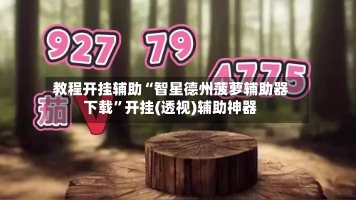 教程开挂辅助“智星德州菠萝辅助器下载”开挂(透视)辅助神器-第2张图片