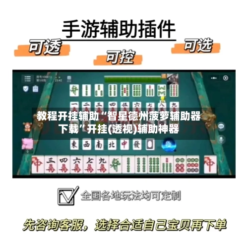 教程开挂辅助“智星德州菠萝辅助器下载”开挂(透视)辅助神器-第3张图片