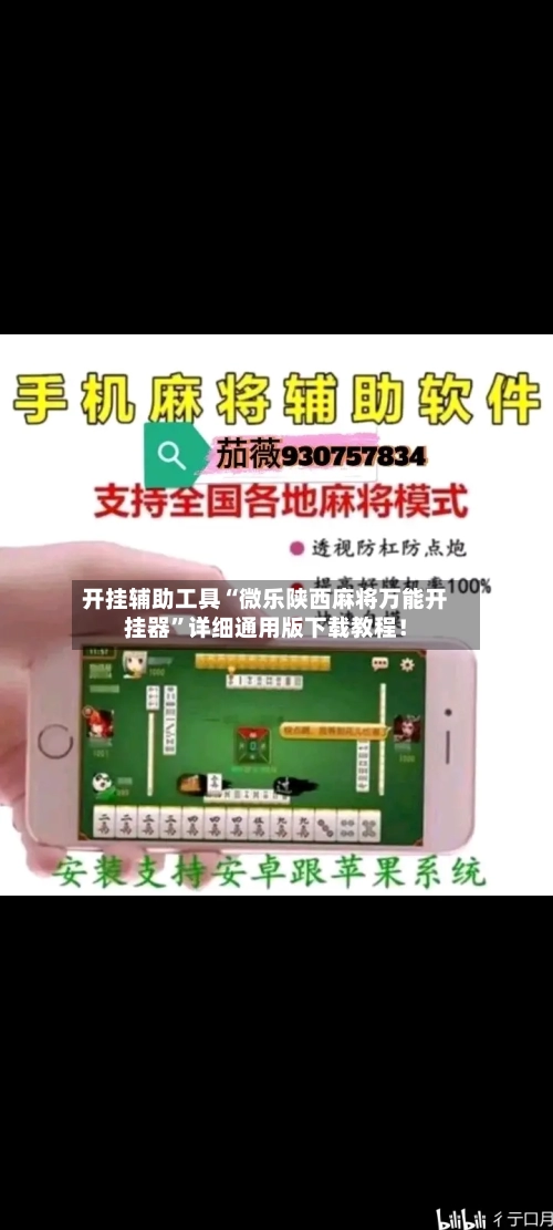 开挂辅助工具“微乐陕西麻将万能开挂器”详细通用版下载教程！-第2张图片