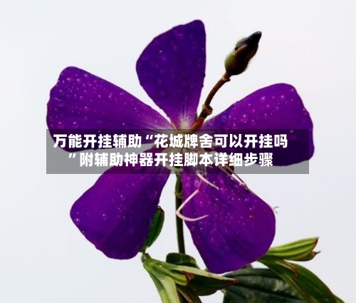 万能开挂辅助“花城牌舍可以开挂吗	”附辅助神器开挂脚本详细步骤-第2张图片