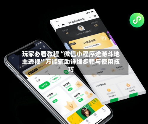 玩家必看教程“微信小程序途游斗地主透视	”万能辅助详细步骤与使用技巧-第1张图片