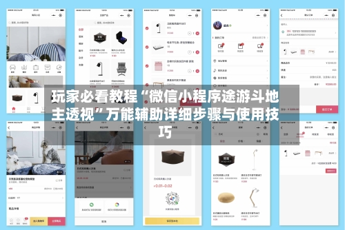 玩家必看教程“微信小程序途游斗地主透视”万能辅助详细步骤与使用技巧-第2张图片