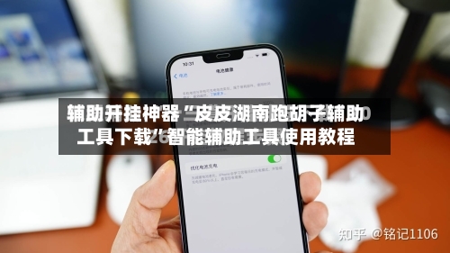 辅助开挂神器“皮皮湖南跑胡子辅助工具下载	”智能辅助工具使用教程-第2张图片