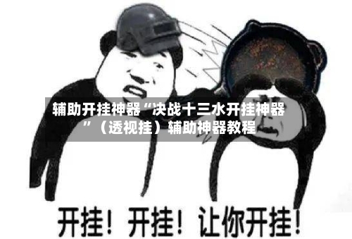 辅助开挂神器“决战十三水开挂神器”（透视挂）辅助神器教程-第1张图片