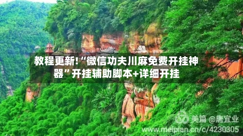 教程更新!“微信功夫川麻免费开挂神器”开挂辅助脚本+详细开挂-第1张图片