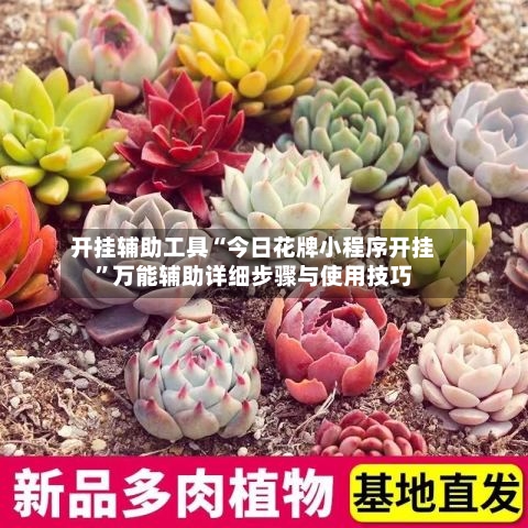 开挂辅助工具“今日花牌小程序开挂	”万能辅助详细步骤与使用技巧-第1张图片