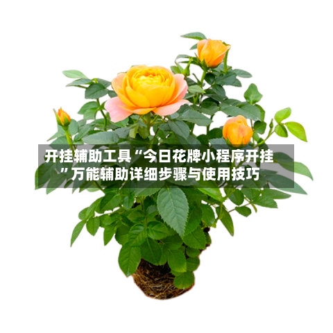 开挂辅助工具“今日花牌小程序开挂”万能辅助详细步骤与使用技巧-第2张图片