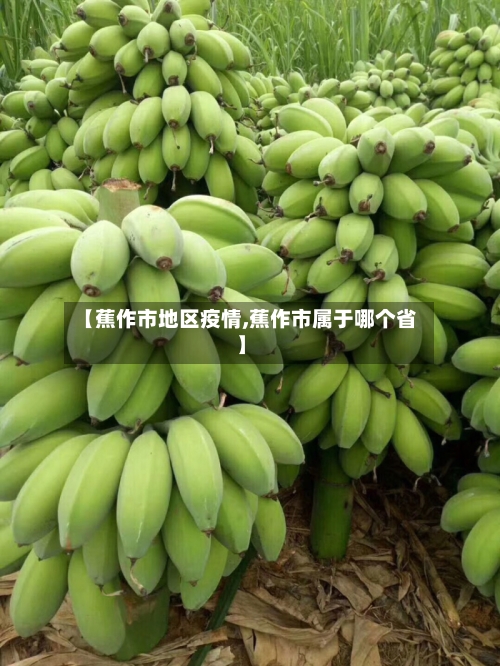 【蕉作市地区疫情,蕉作市属于哪个省】-第1张图片