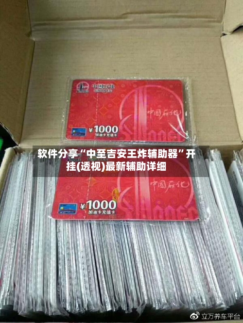 软件分享“中至吉安王炸辅助器	”开挂(透视)最新辅助详细-第2张图片