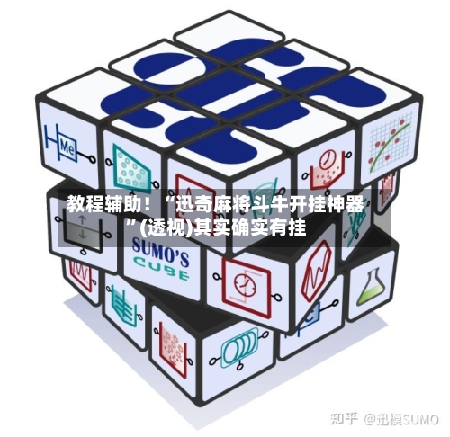 教程辅助！“迅奇麻将斗牛开挂神器”(透视)其实确实有挂-第2张图片