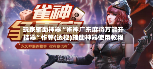 玩家辅助神器“雀神广东麻将万能开挂器”作弊(透视)辅助神器使用教程-第3张图片