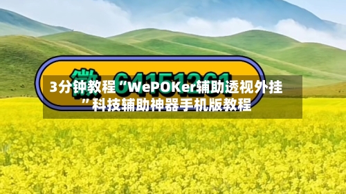 3分钟教程“WePOKer辅助透视外挂”科技辅助神器手机版教程-第1张图片