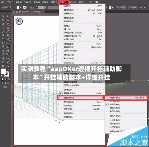 实测教程“aapOKer透视开挂辅助脚本	”开挂辅助脚本+详细开挂-第2张图片