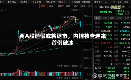 两A股造假或将退市	，内控核查迎来首例破冰-第2张图片