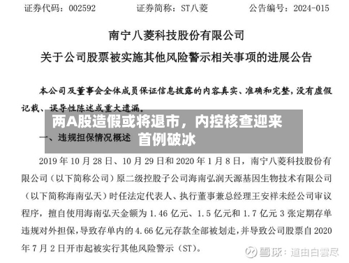 两A股造假或将退市	，内控核查迎来首例破冰-第3张图片