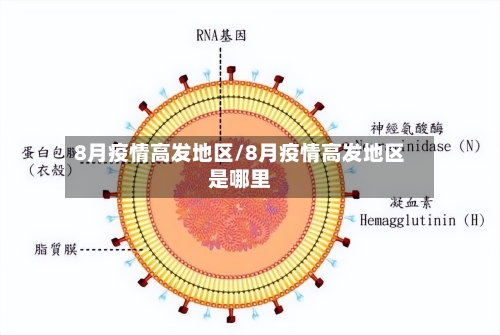 8月疫情高发地区/8月疫情高发地区是哪里-第2张图片