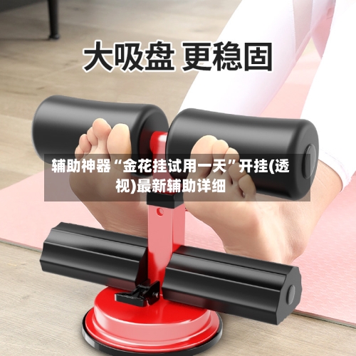 辅助神器“金花挂试用一天”开挂(透视)最新辅助详细-第1张图片