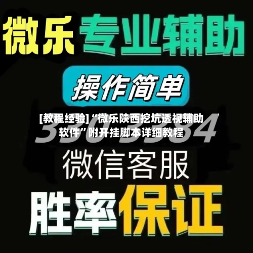 [教程经验]“微乐陕西挖坑透视辅助软件	”附开挂脚本详细教程-第1张图片