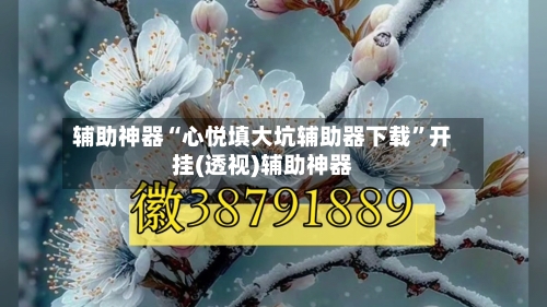 辅助神器“心悦填大坑辅助器下载”开挂(透视)辅助神器-第1张图片
