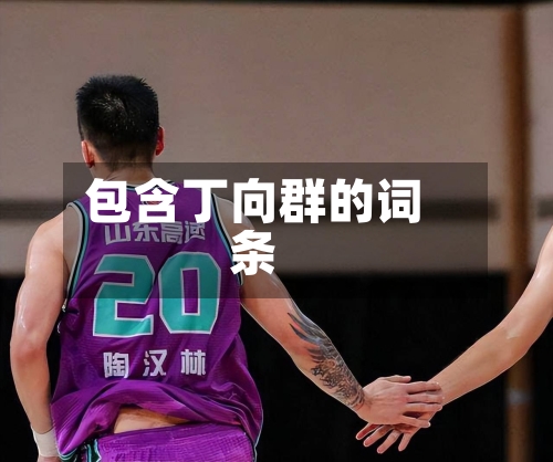 包含丁向群的词条-第2张图片