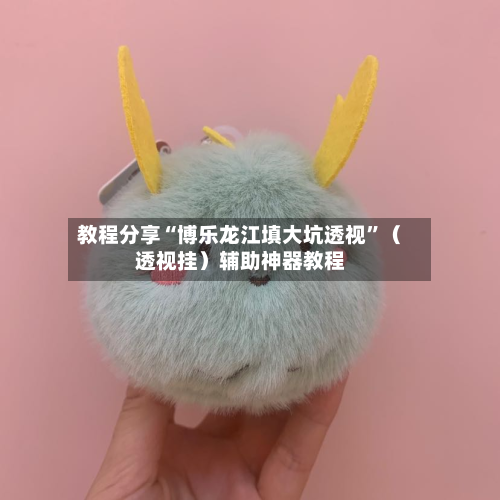 教程分享“博乐龙江填大坑透视”（透视挂）辅助神器教程-第1张图片