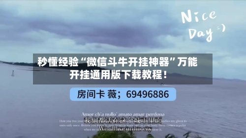 秒懂经验“微信斗牛开挂神器	”万能开挂通用版下载教程！-第2张图片