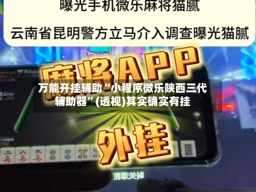 万能开挂辅助“小程序微乐陕西三代辅助器	”(透视)其实确实有挂-第2张图片
